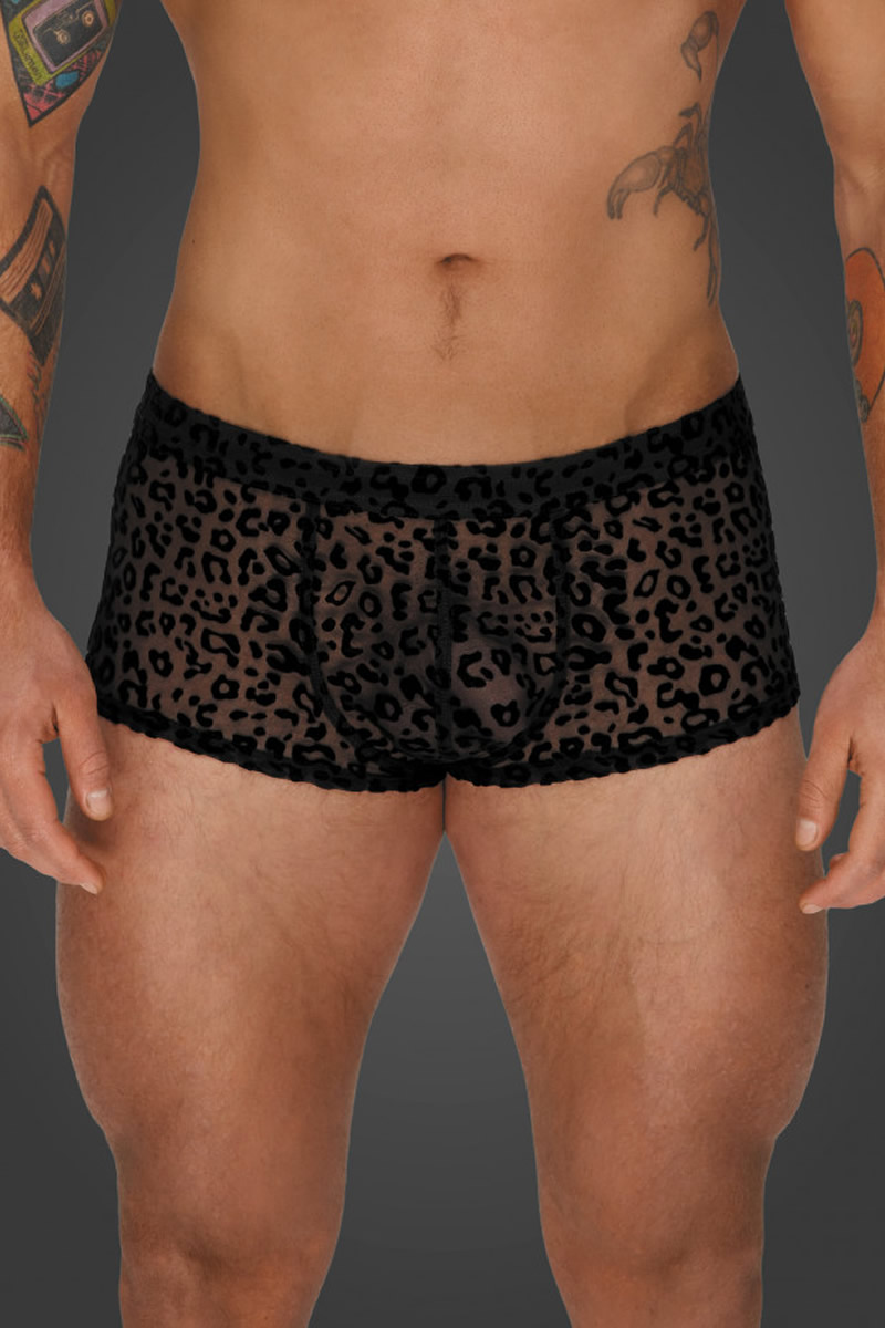 Calções curtos leopardo